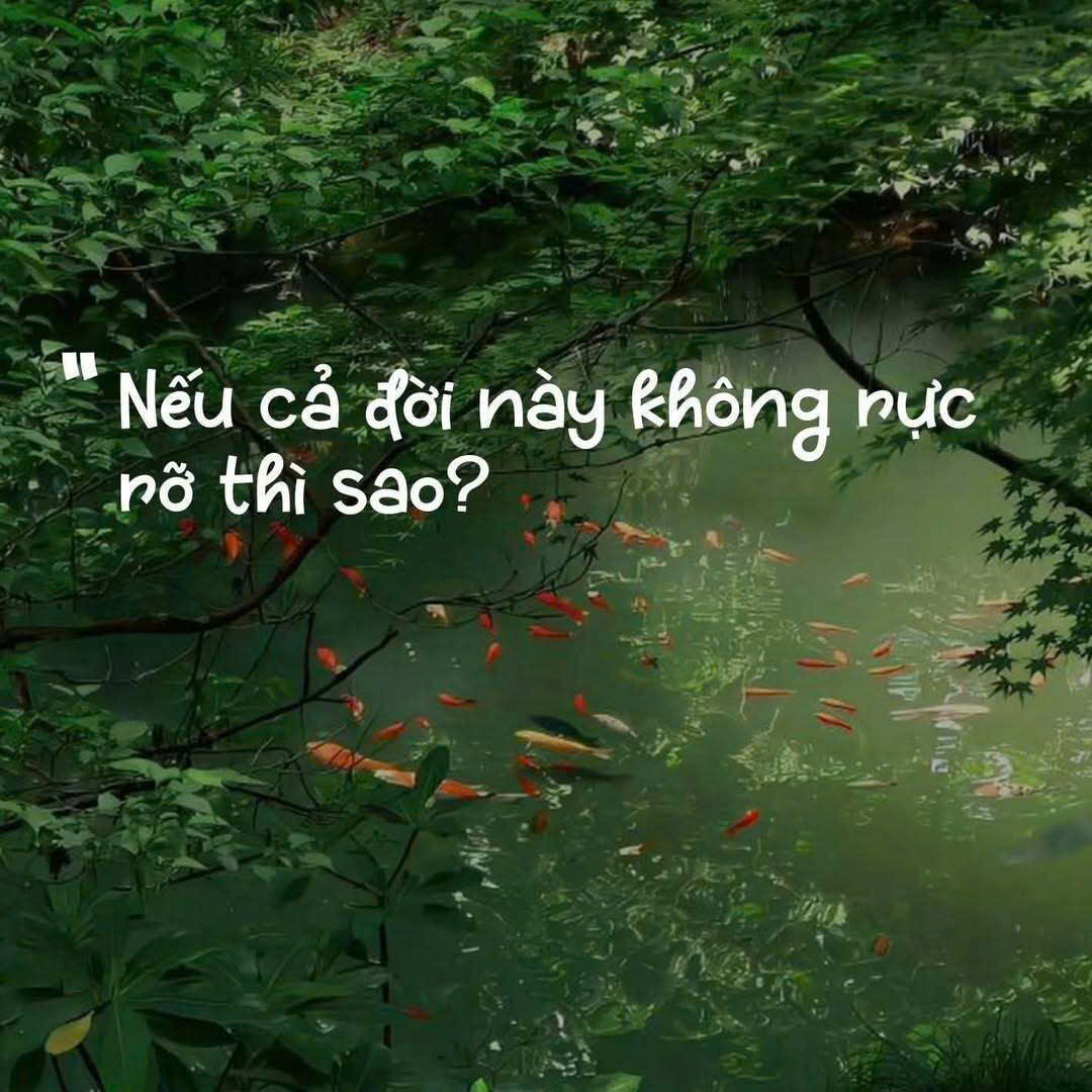 LÀM SAO NẾU CẢ ĐỜI NÀY KHÔNG RỰC RỠ